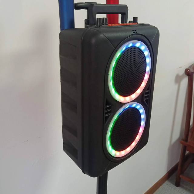 Home KTV Loudspeaker Second Hand Mold